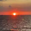 owen.woods.music - @owen.woods.music - TikTok