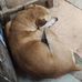 Owen Yan - Facebook