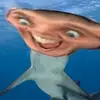 Owen Yan - @anime_boi_owen - TikTok