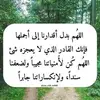Um Roya359 - @oneroya1 - TikTok