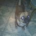 Ozella Thomas - Facebook