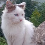 özlem çamlı - @ozlem380759 - Instagram