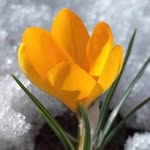 Ozlem Camlıbel Ince - @ozlemcamlibel14 - Instagram