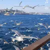 Özlem özcan - @ozlem_ozcann - TikTok