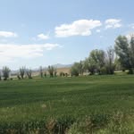 Ozlem Öztekin - @oztekin6842 - Instagram