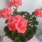 Özlem öztekin aygın - @ayginozlemoztekin - Instagram