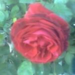 özlem oztekin aygin - @ozlemoztekinaygin - Instagram