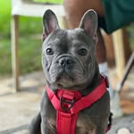 Ozzy Carrillo (Gordo) - @el_gordoozzy - Instagram
