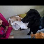 Ozzy López - @ozzy.lopez.902266 - Instagram