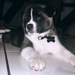 Ozzy Lopéz Bertrand - @ozzy_319 - Instagram