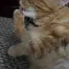 Ozzy Martinez - @ozzy.martinez0 - TikTok