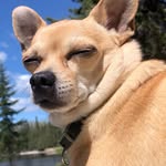 Oscar Morin - @mr.ozzymorin - Instagram