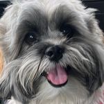 Ozzy Ortiz - @xxozzyortizxx - Instagram