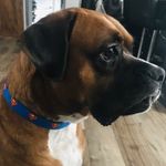 Ozzy Ortiz - @ozzman_77 - Instagram