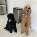 Ozzy Benito Ramos Adaline Penny Ramos - @ozzyandpennyramos_ - Instagram