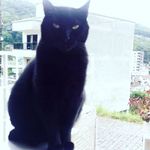 ozzy_silva - @ozzy_silva_l - Instagram