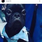 Ozzy Silva - @ozzy8139 - Instagram