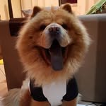 Ozzy Silva Leão - @ozzysilvaleao - Instagram