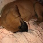 Ozzy Torres - @ozzytorres_999 - Instagram