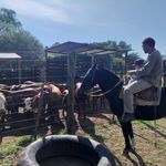 Pablo Absalon Valdez - @pabloabsalonvaldez - Instagram
