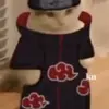 pablo@Absalon.com - @pablo.absalon - TikTok