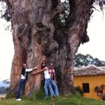 Pablo Alfonso Sanabria Ferrand - @pasanabria - Instagram