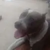 Pablo Aparicio - @pablo.aparicio34 - TikTok
