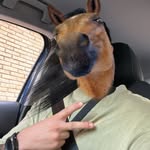 Pablo Aparicio ® - @paparicioferreira - Instagram