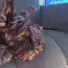Pablo Aranda - @pablo.aranda56 - TikTok