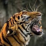 Pablo Barrón - @pablo.barron.102 - Instagram