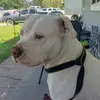 Pablo Becerra - @pablo.becerra73 - TikTok