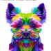 Pablo Bejar - Facebook