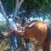 Pablo Bejarano - Facebook