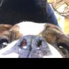 Pablo - @pablo_berry - TikTok