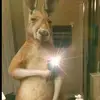 Pablo Bisonó - @pablo.bison - TikTok