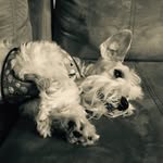 Pablo_Bolaños - @pablo_bolanos_porras - Instagram