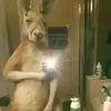 pablo - @pablobracho00 - TikTok