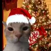 Juan Pablo Bryant Hermosillo - @juan.pablo.bryant - TikTok