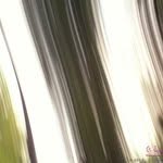 Pablo Buckley - @pablobuckley - Instagram