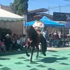 pablobuenrostro70 - @pablobuenrostro70 - TikTok