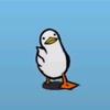 pablo.in.bush - @pablo.in.bush - TikTok