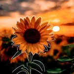 @juan.pablocaamal - Instagram