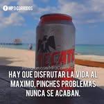 Pablo C Caamal - @pablo.caamal.9 - Instagram