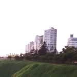 @pabl.ocampbell - Instagram