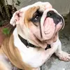 Pablo Capo - @pablo.capo5 - TikTok