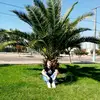 Pablo Caro - @pablocaroo0 - TikTok