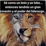 Juan pablo Andrade Carpenter - @juanpablo_carpenter - Instagram
