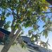 Pablo Casiano - Facebook
