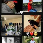 Juan Pablo Castorena - @juanpablo.castorena - Instagram