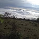 Pablo Ceja - @pablo_ceja11 - Instagram